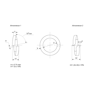 Шайбы пружинные ГОСТ 6402-70 - фото - 1